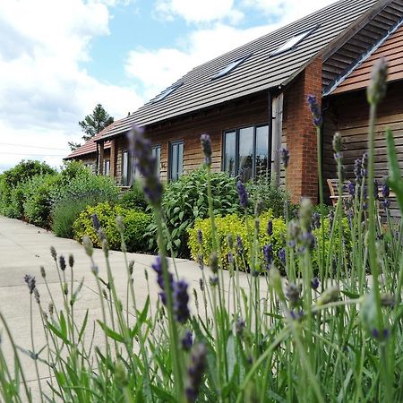 Elm Tree Farm Accommodation Milton Keynes Eksteriør bilde